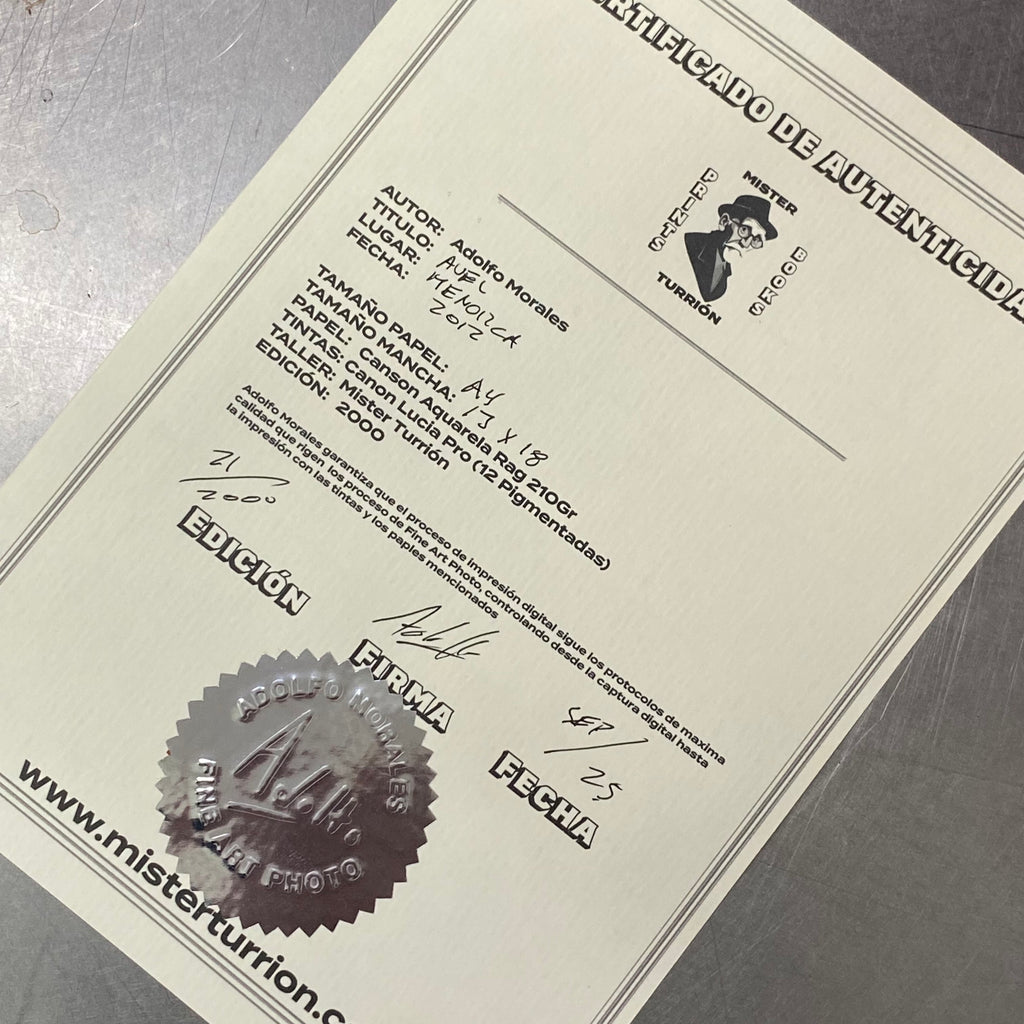 Certificado de autenticidad Mister Turrion, edición limitada firmada y numerada

