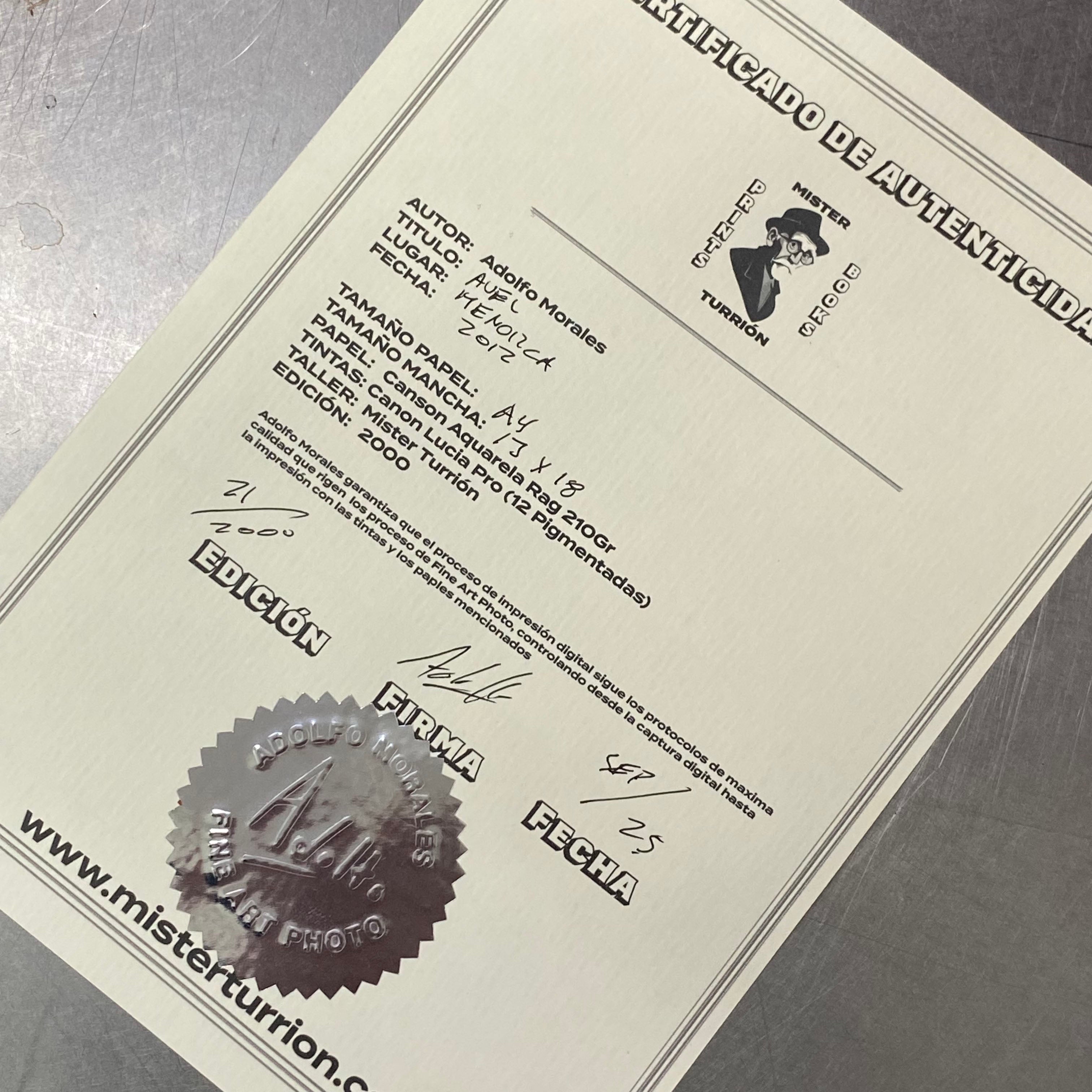 Certificado de autenticidad Mister Turrion, edición limitada firmada y numerada

