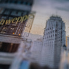 ALONE IN THE CITY #19