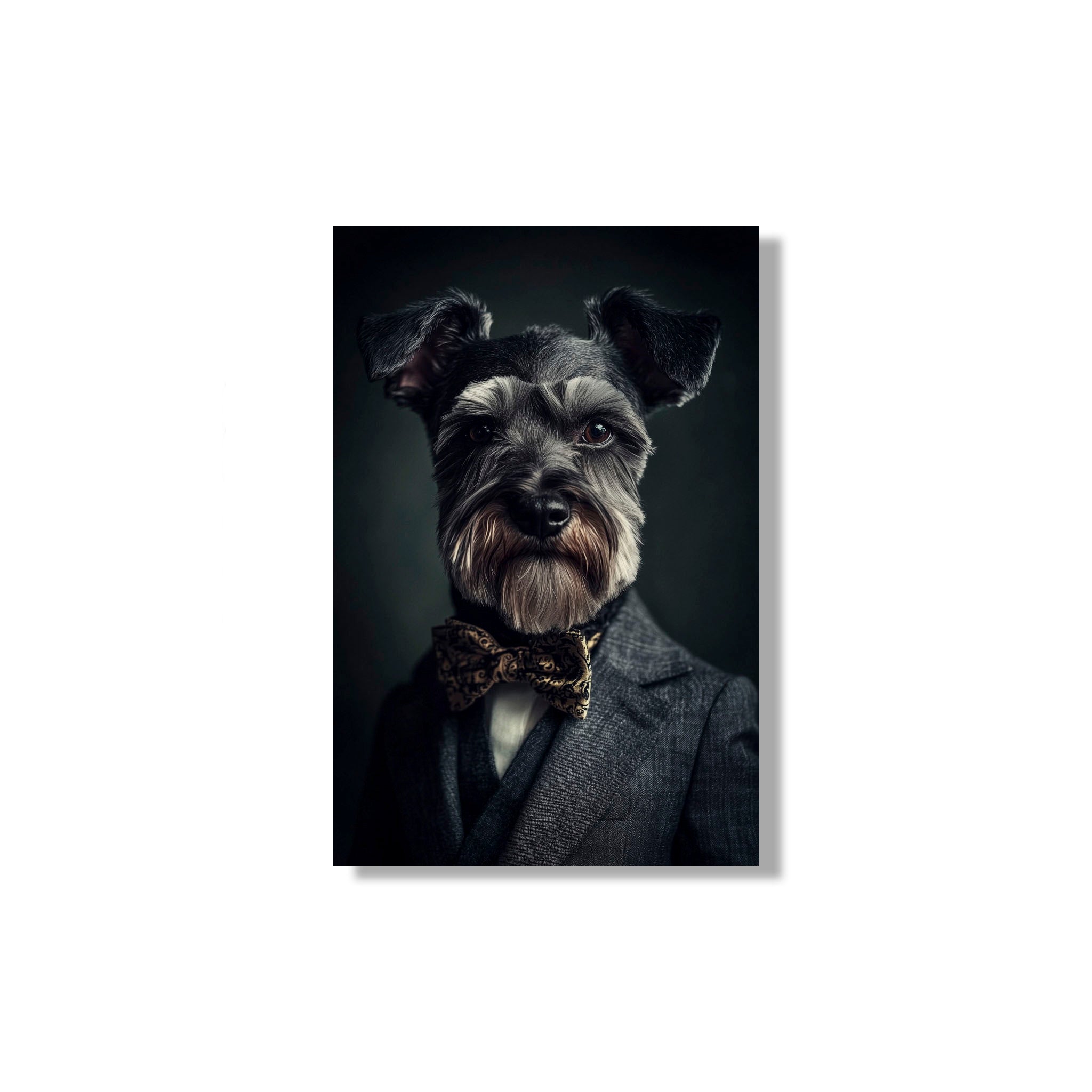 SCHNAUZER