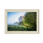 ANDANDO CON LAS NUBES  14