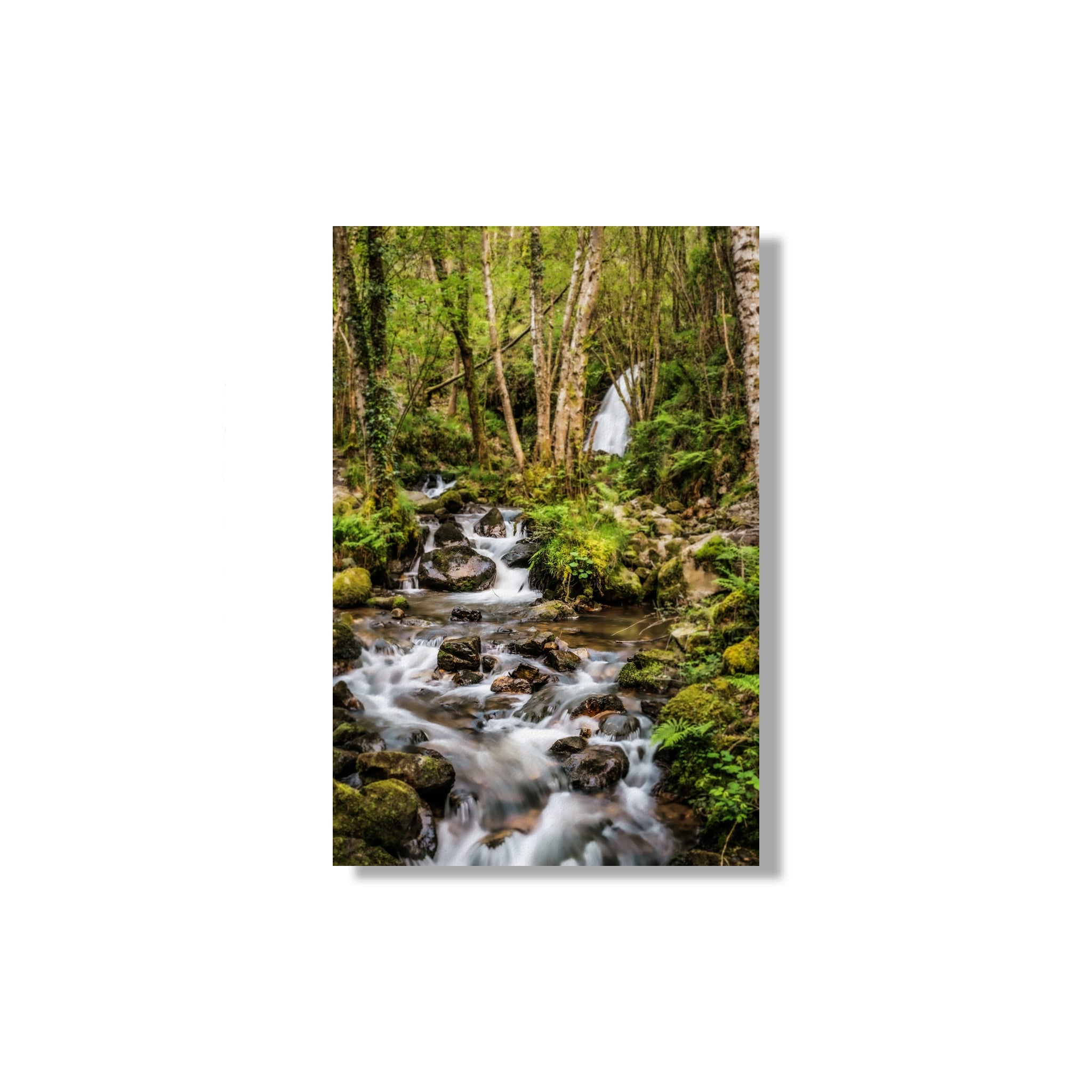 ANDANDO CON LAS NUBES  4