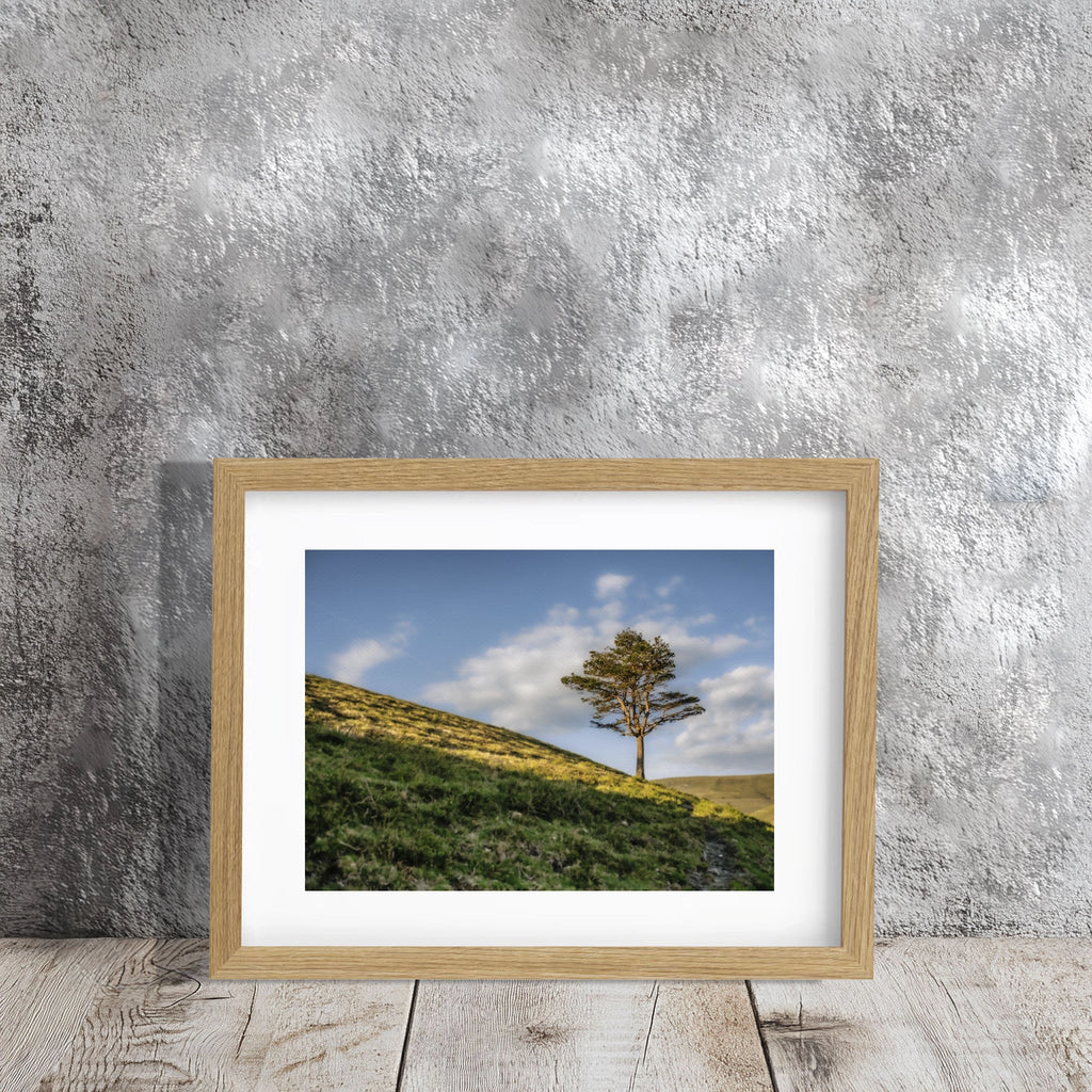 ANDANDO CON LAS NUBES  9