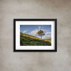 ANDANDO CON LAS NUBES  9