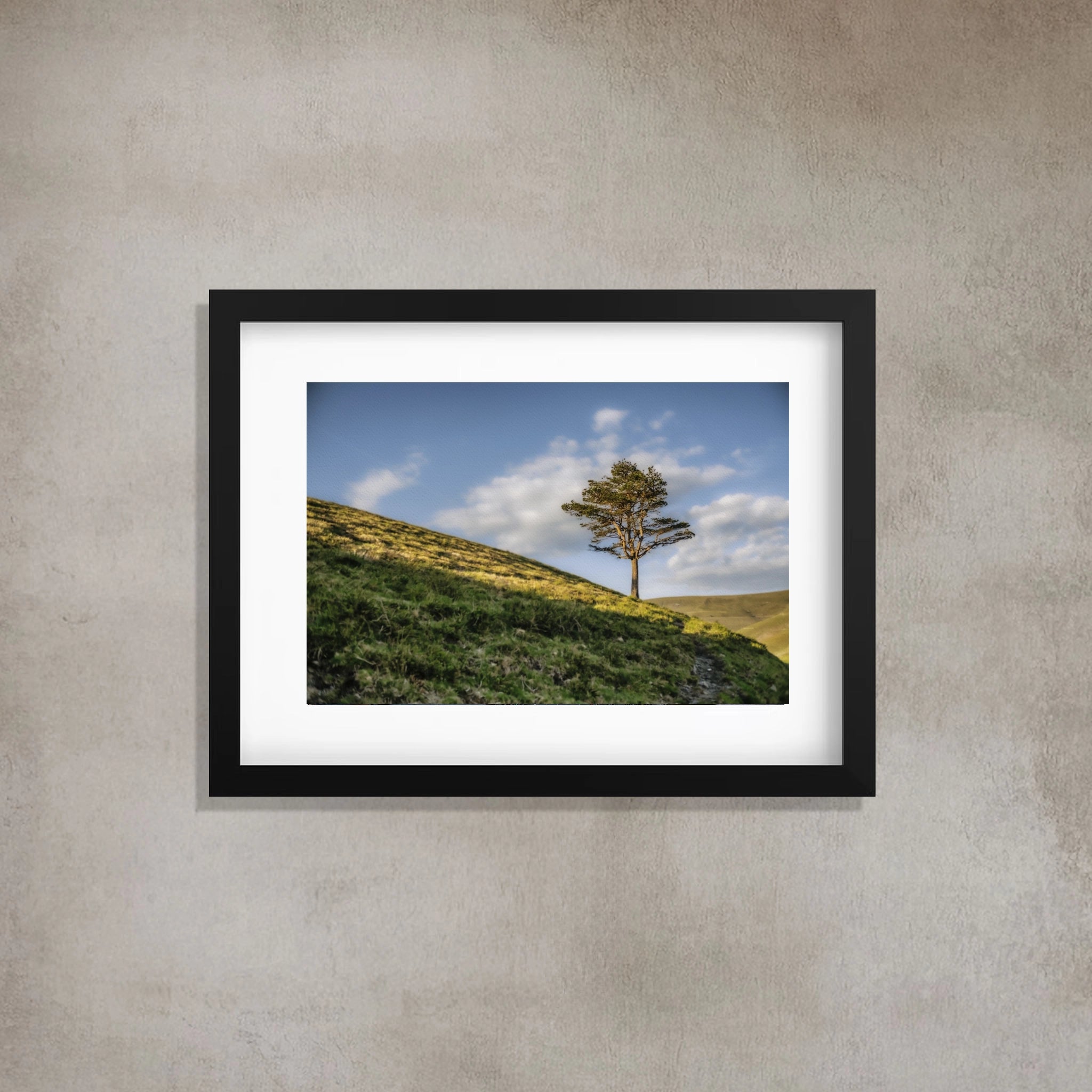 ANDANDO CON LAS NUBES  9