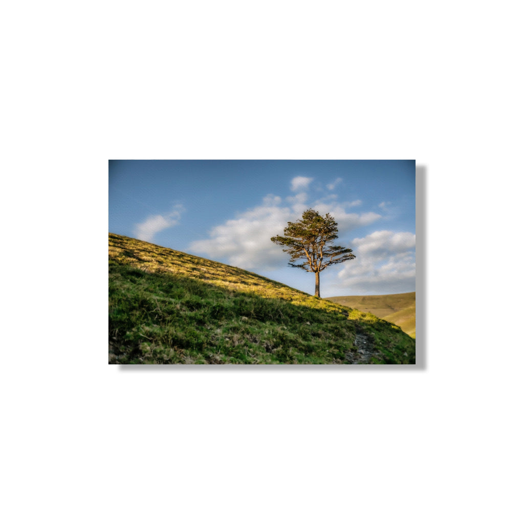 ANDANDO CON LAS NUBES  9