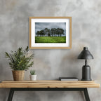 ANDANDO CON LAS NUBES  8