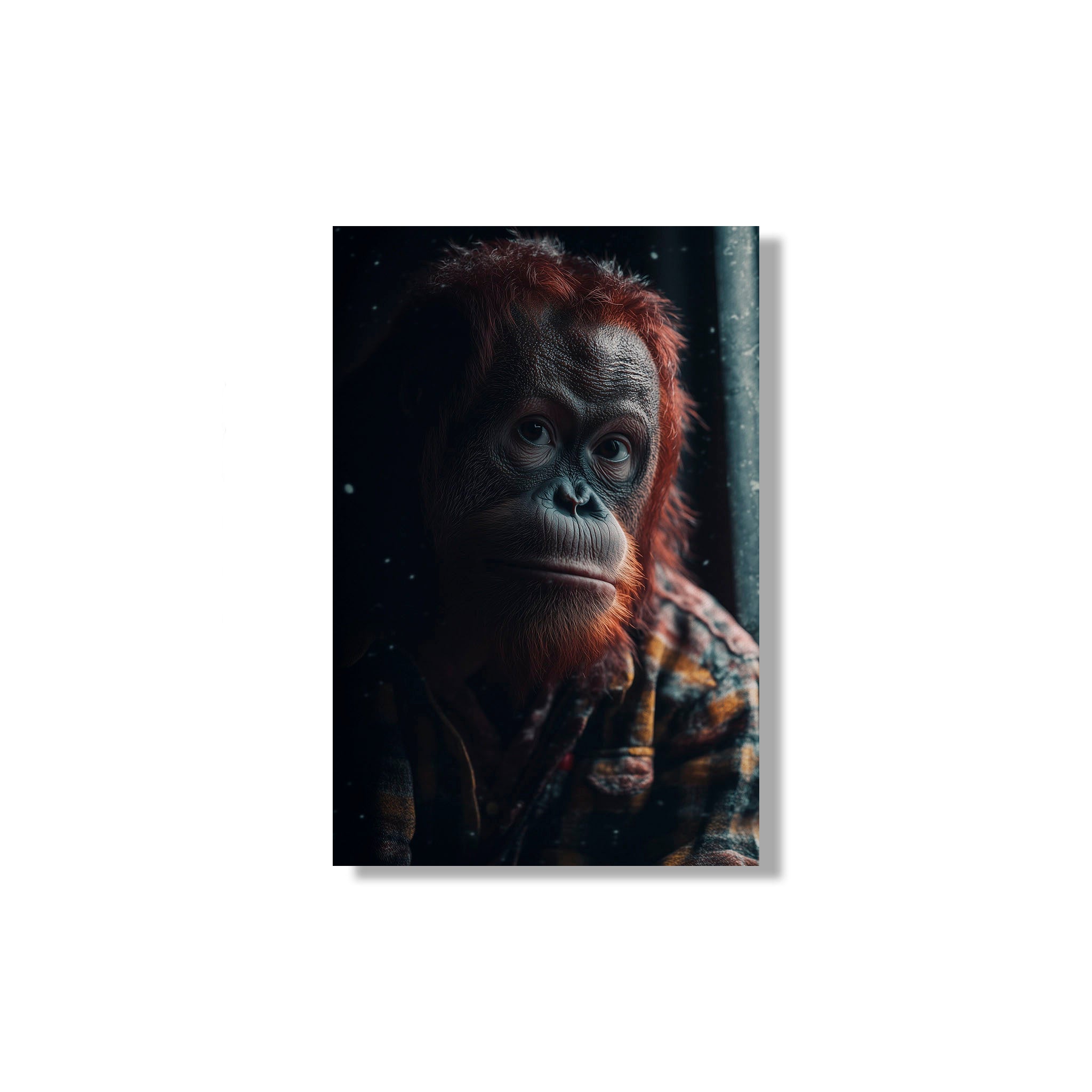 ORANGUTAN
