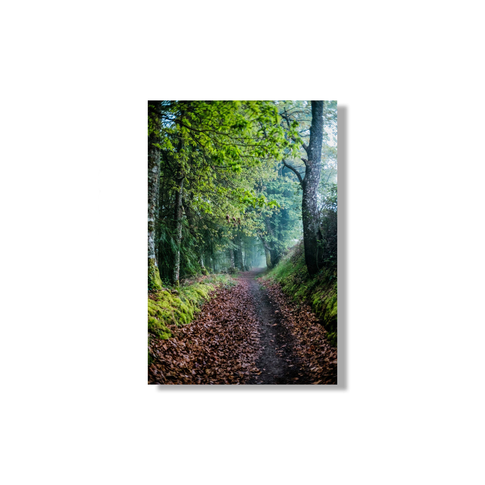 ANDANDO CON LAS NUBES  10