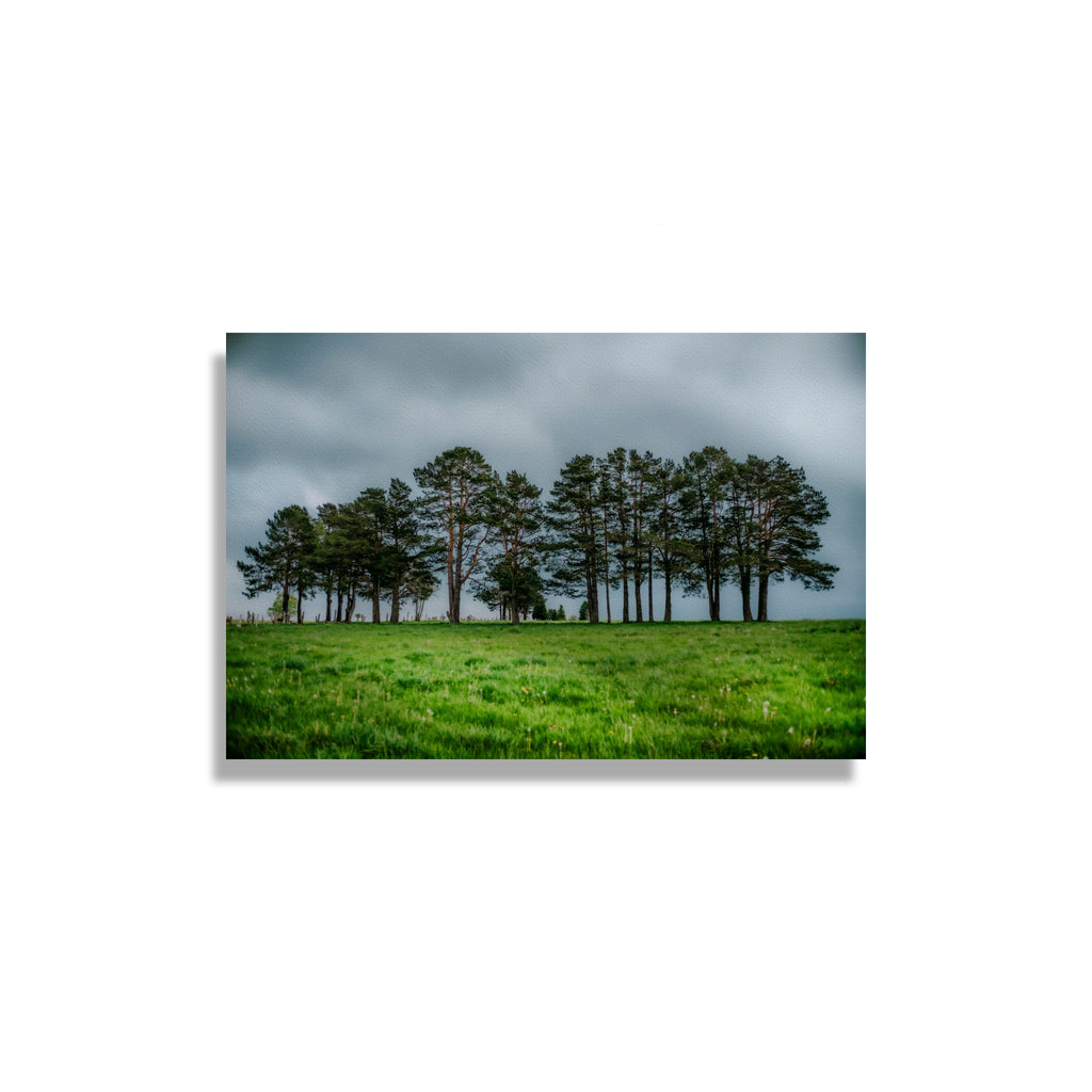 ANDANDO CON LAS NUBES  8