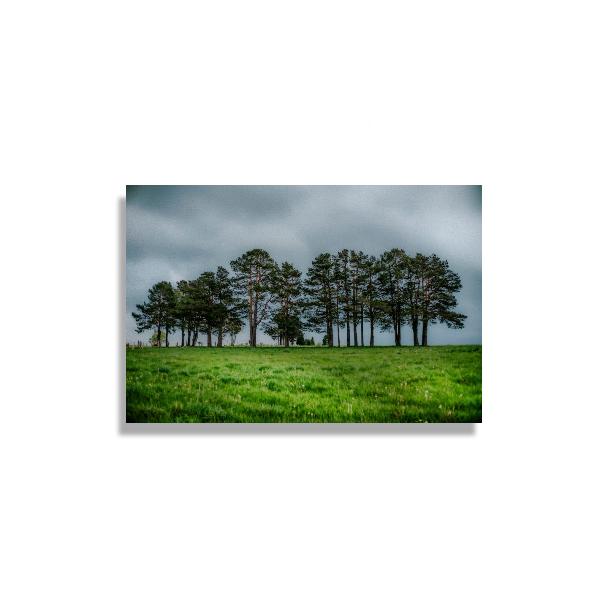 ANDANDO CON LAS NUBES  8