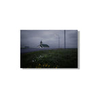 LLAMANDO A LAS PUERTAS DEL CIELO #2