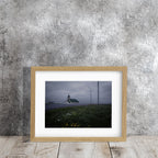 LLAMANDO A LAS PUERTAS DEL CIELO #2