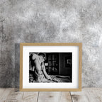 EMPEZAR A VESTIRSE #36