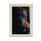 ORANGUTAN