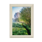 ANDANDO CON LAS NUBES #15