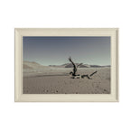 NEVER WALK ALONE  14