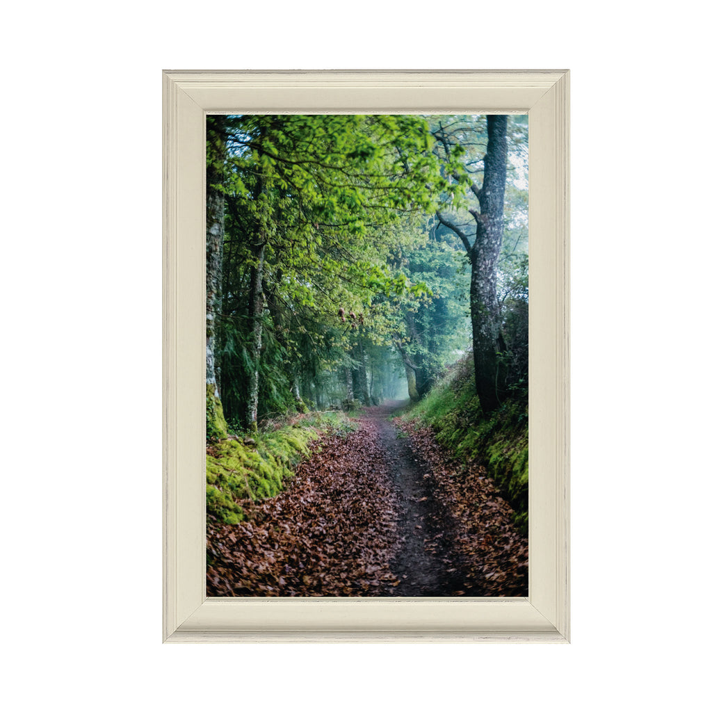 ANDANDO CON LAS NUBES  10