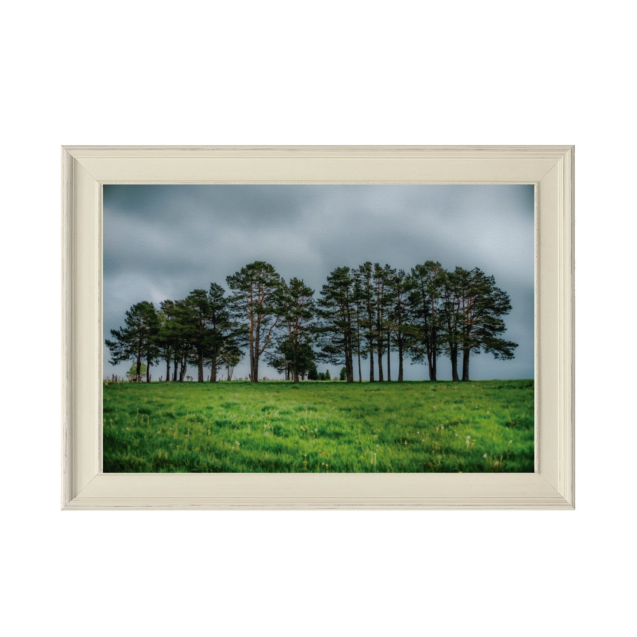 ANDANDO CON LAS NUBES  8