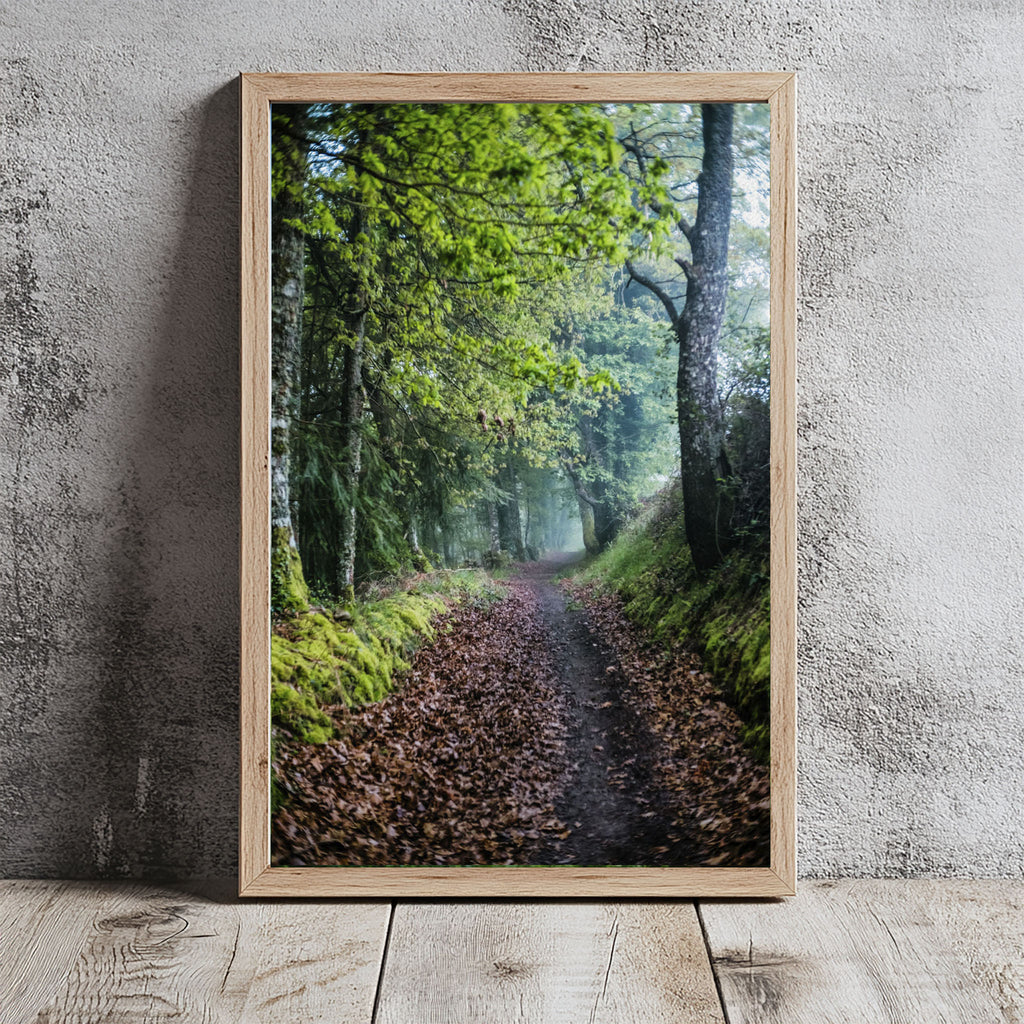 ANDANDO CON LAS NUBES  10