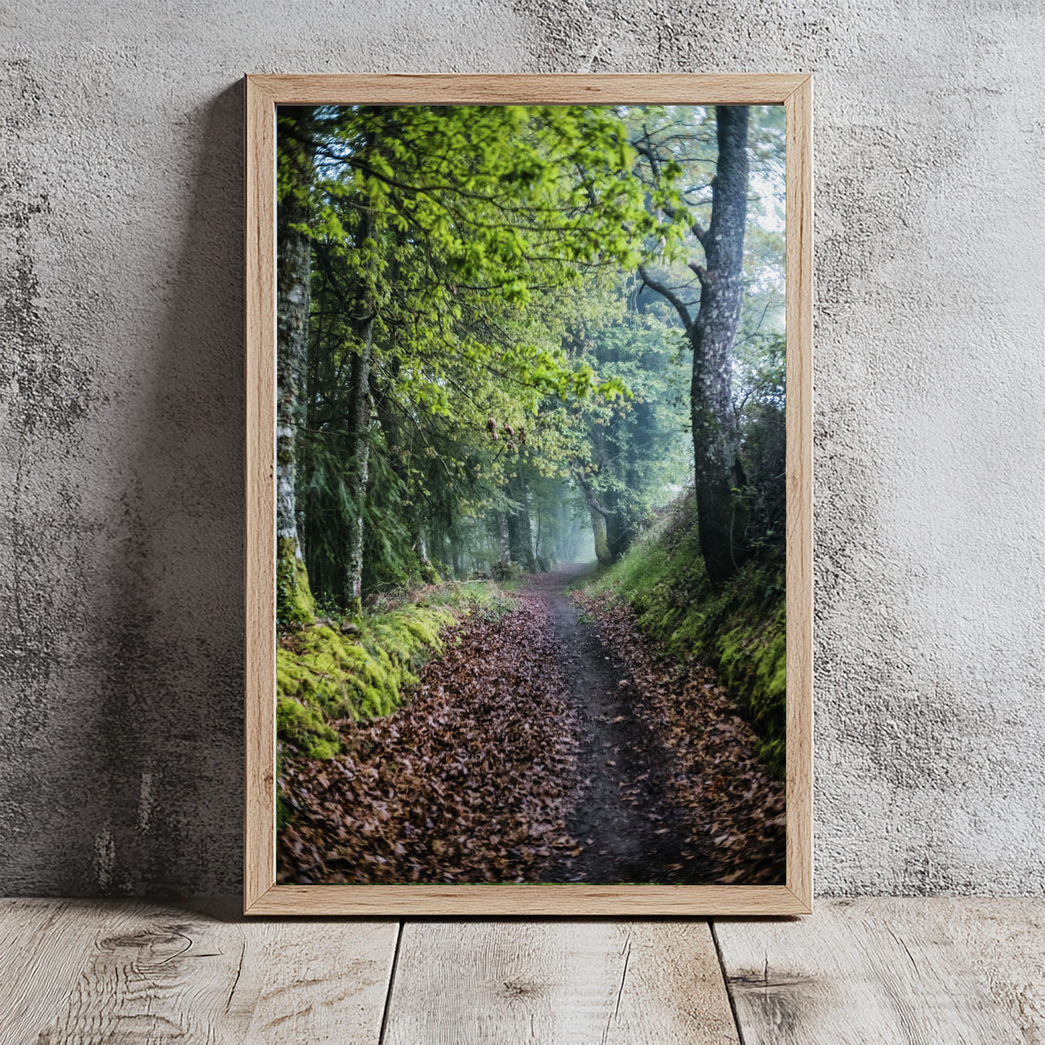 ANDANDO CON LAS NUBES  10