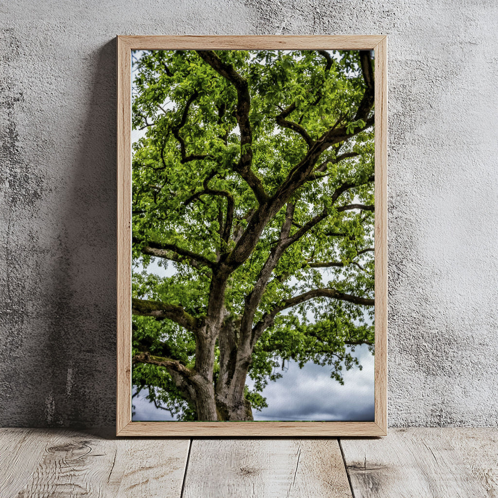 ANDANDO CON LAS NUBES  16