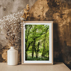 ANDANDO CON LAS NUBES  1