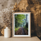 ANDANDO CON LAS NUBES  10