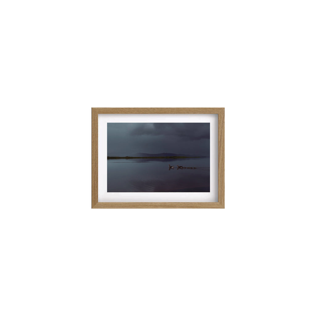 MIRROR 7