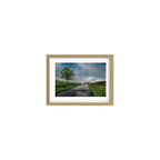 ANDANDO CON LAS NUBES  11