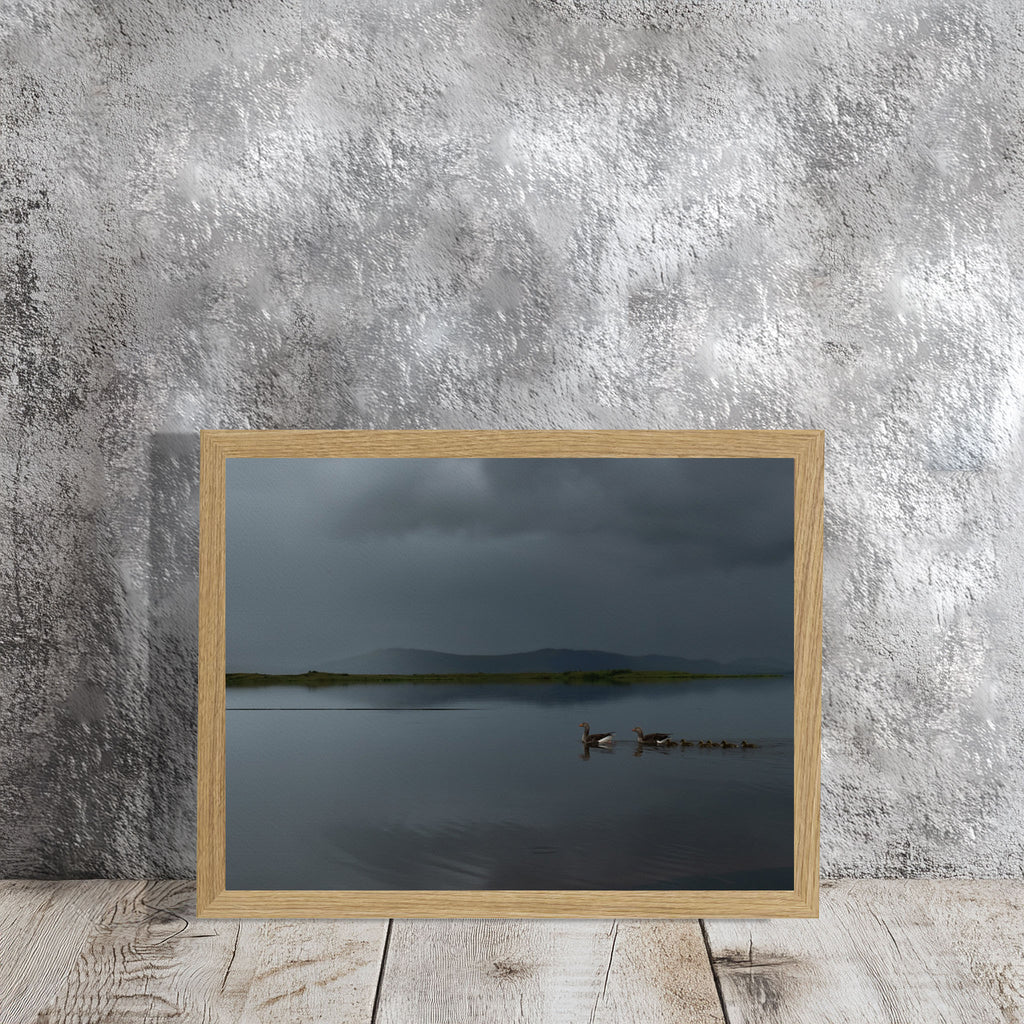 MIRROR 7