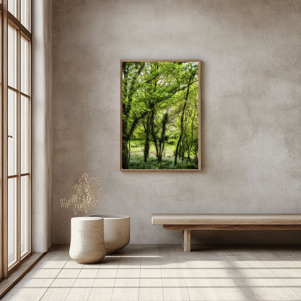 ANDANDO CON LAS NUBES  1