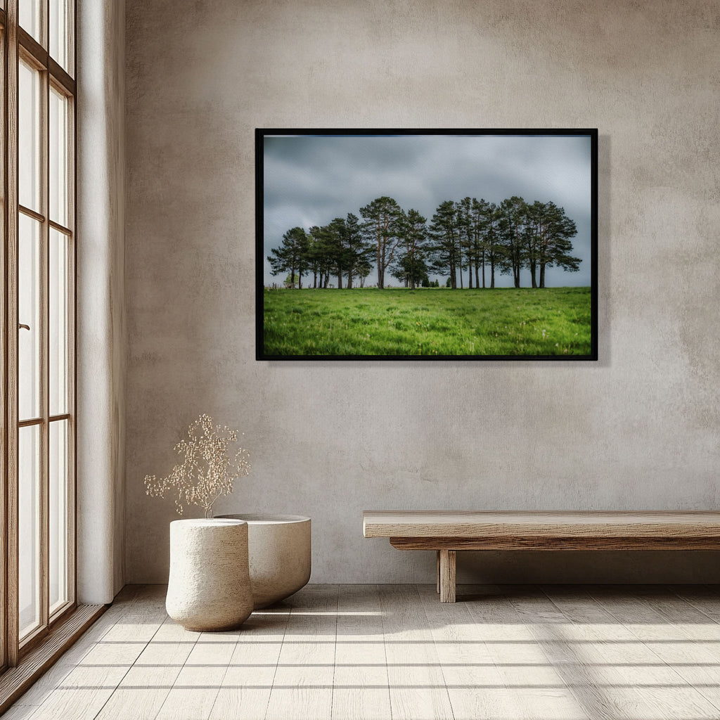 ANDANDO CON LAS NUBES  8