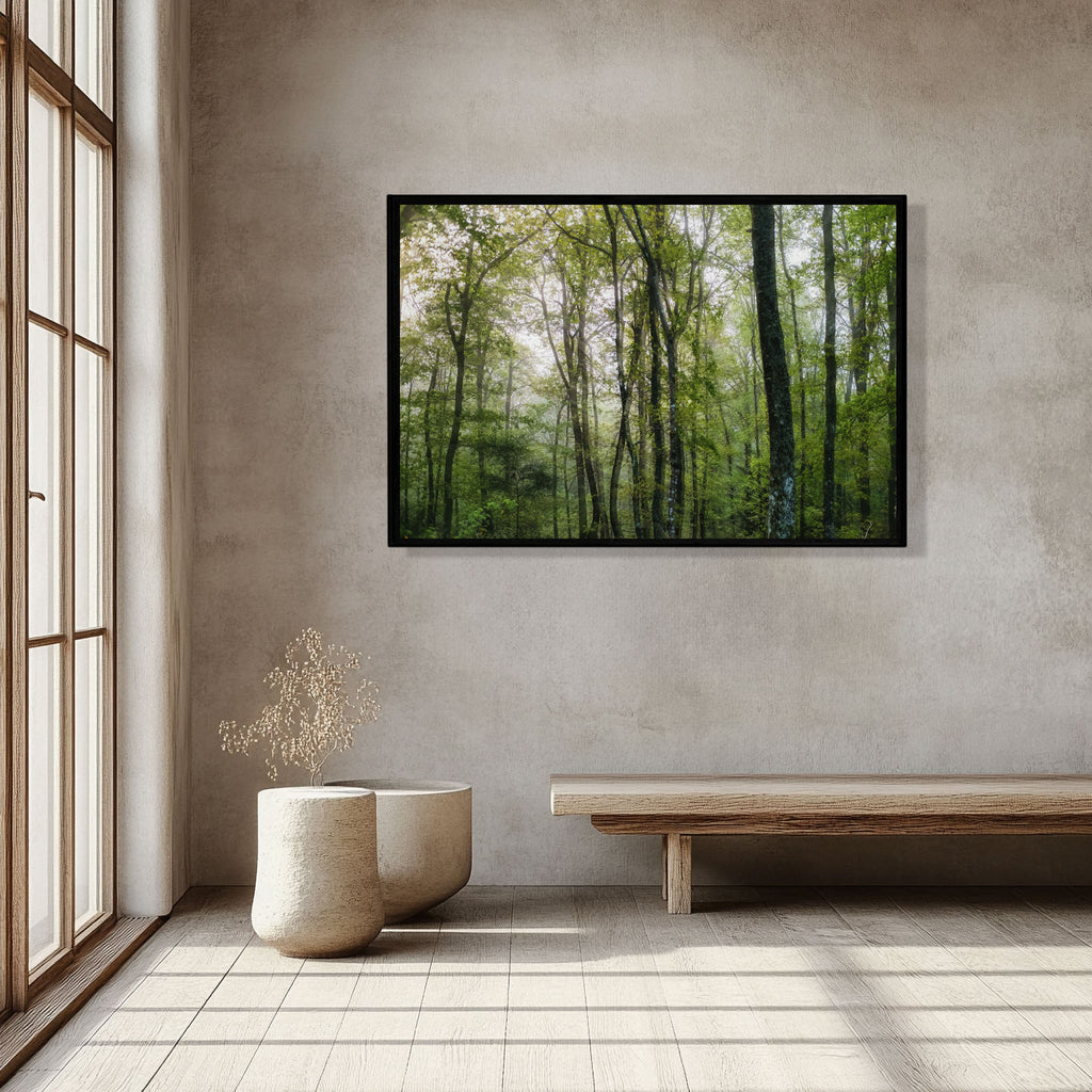 ANDANDO CON LAS NUBES  12