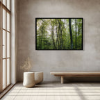 ANDANDO CON LAS NUBES  12